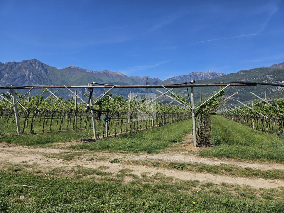 Helårsgrund i Arco, Trento - foto 2