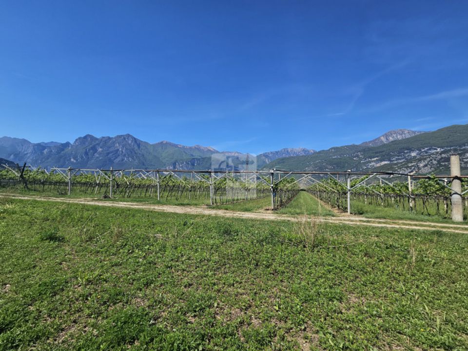 Helårsgrund i Arco, Trento - foto 3