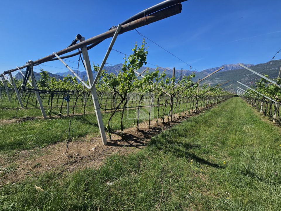 Helårsgrund i Arco, Trento - foto 4