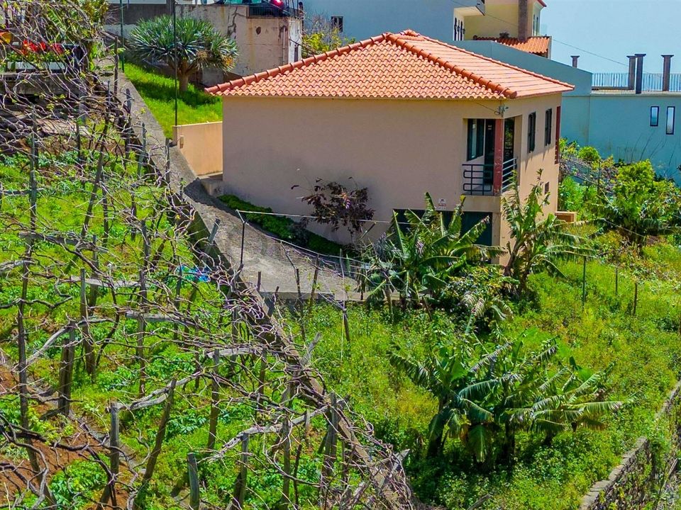 Villa i Camara de Lobos, Madeira - foto 2