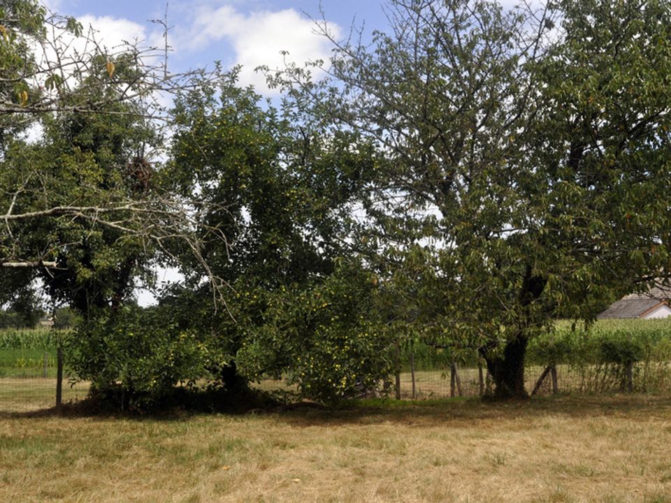 Gårdshus i L'Abergement-de-Cuisery, Saone-et-Loire - bilde 3