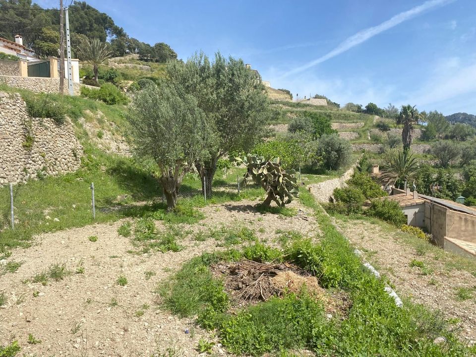 Tomt i Galilea, La Rioja - bilde 2