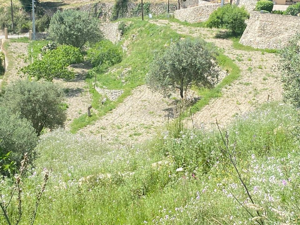 Tomt i Galilea, La Rioja - bilde 4