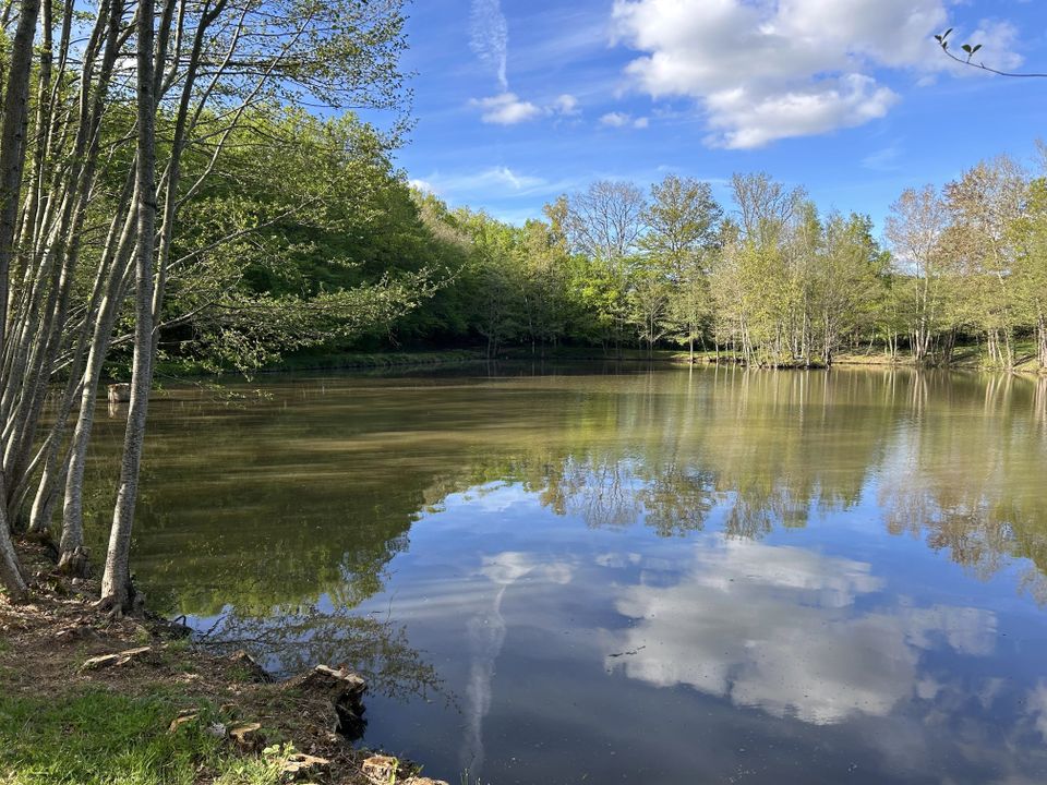 Tomt i Châtelus-Malvaleix, Creuse - foto 2