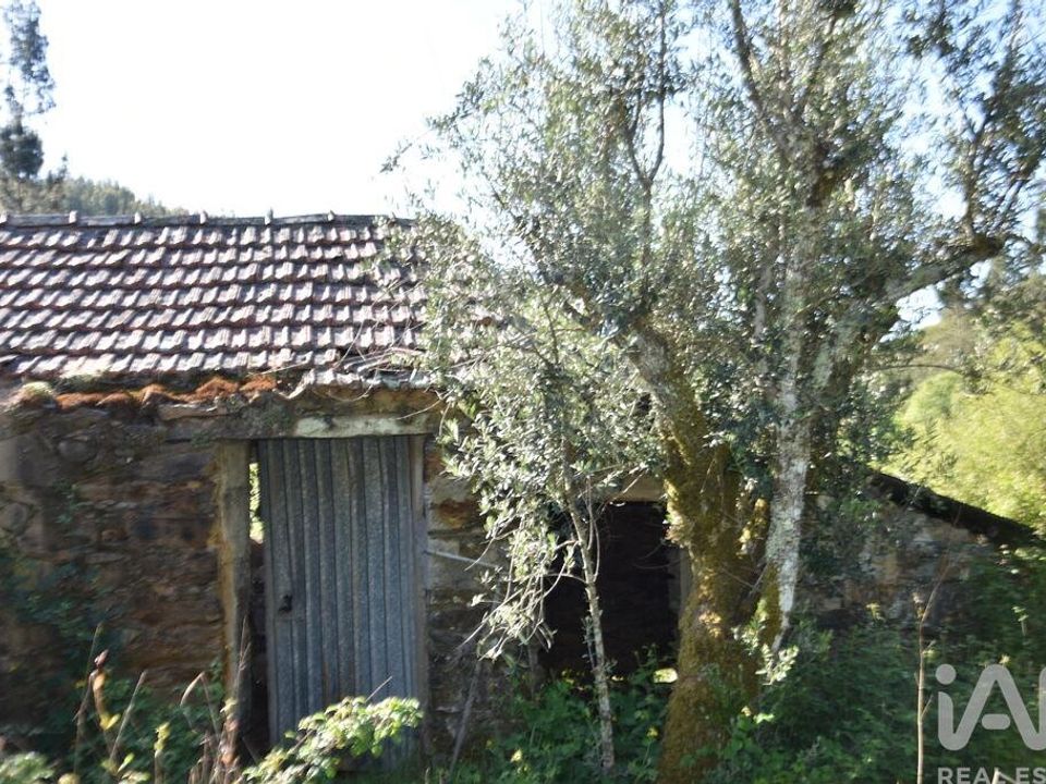 Byhus i Pampilhosa da serra, Coimbra - foto 5