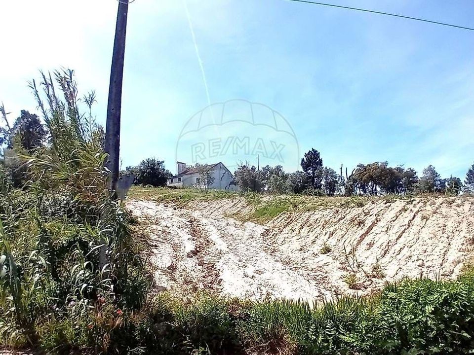 Farm hus i Coruche, Santarem - foto 1