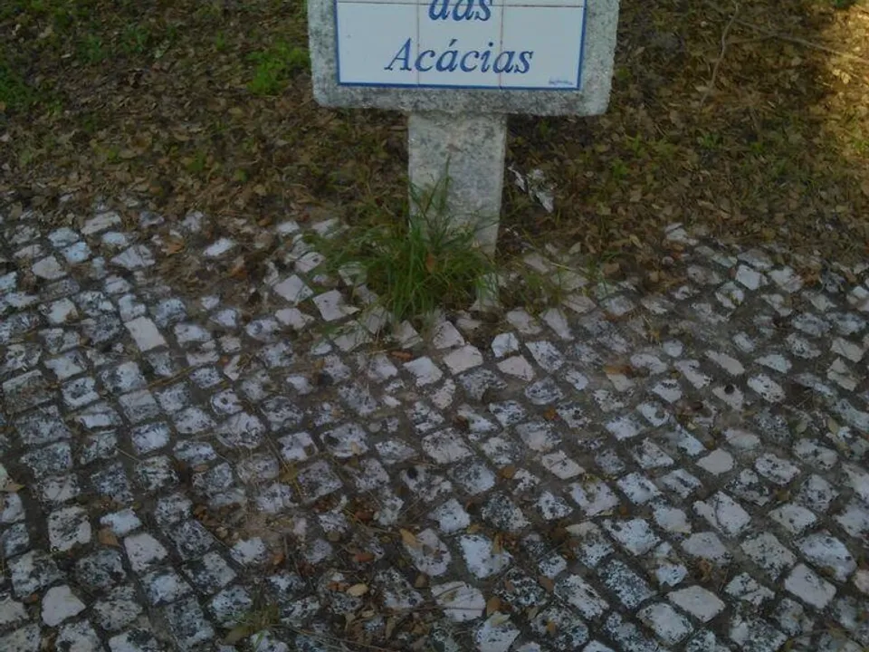 Helårsgrund i Setubal, Setubal - foto 3