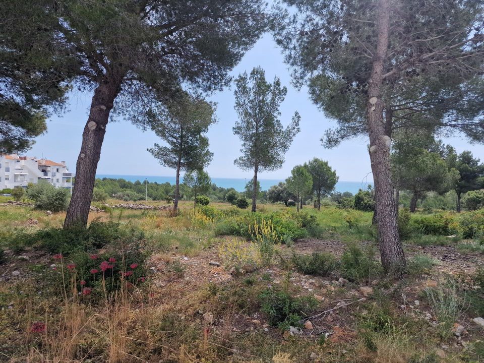 Lejlighed i Peniscola, Castellon - foto 3