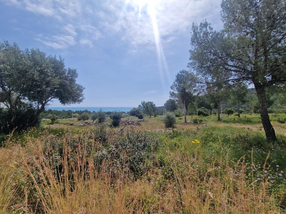 Lejlighed i Peniscola, Castellon - foto 4