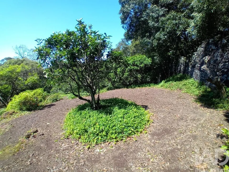 Maa Lagoassa, Sao Miguel - kuva 2