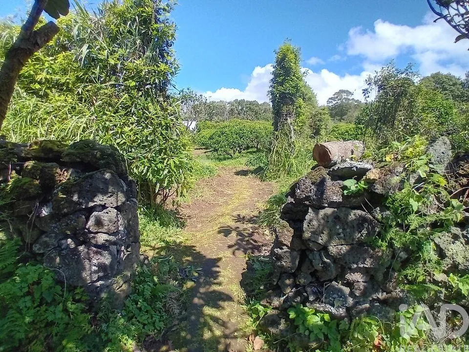 Maa Lagoassa, Sao Miguel - kuva 3