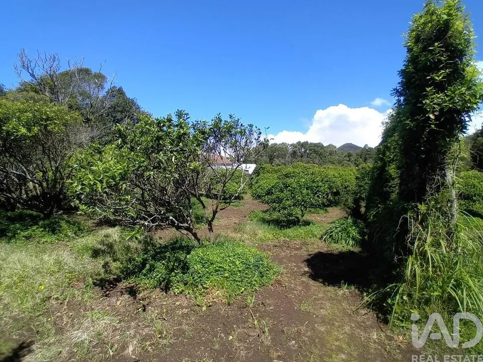 Maa Lagoassa, Sao Miguel - kuva 4