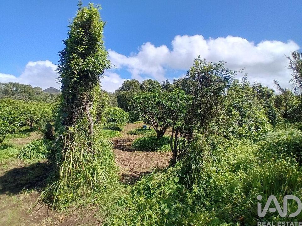 Maa Lagoassa, Sao Miguel - kuva 5