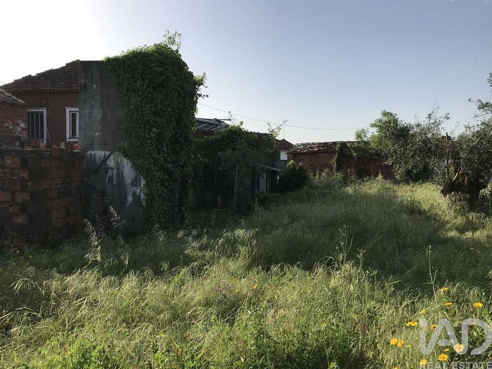 Byhus i Ourem, Santarem - foto 4