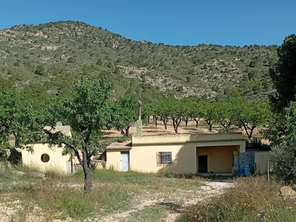 Cave house i Salinas, Alicante - foto 1