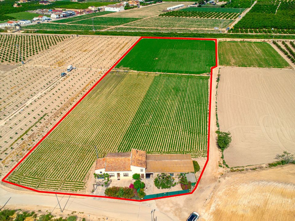 Finca i Orihuela, Alicante - foto 4