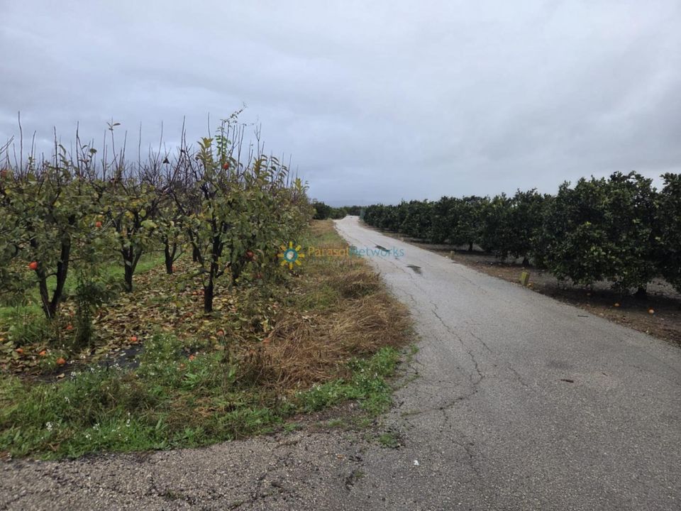 Terreno Senyera, Valencia - foto 5