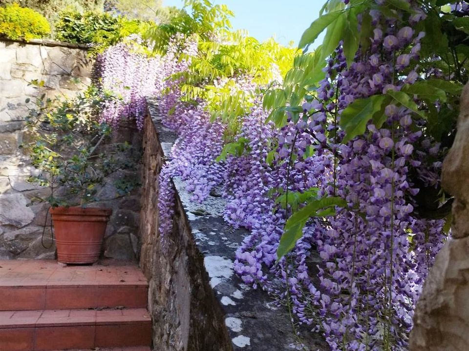 Villa in Florence, Florence - foto 4