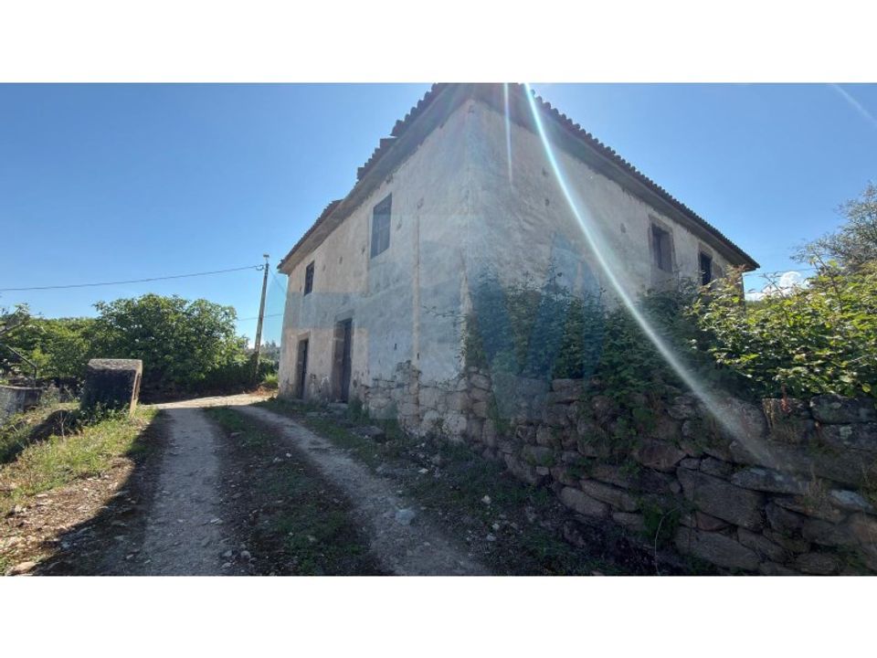 Farm i Mirandela, Braganca - foto 3