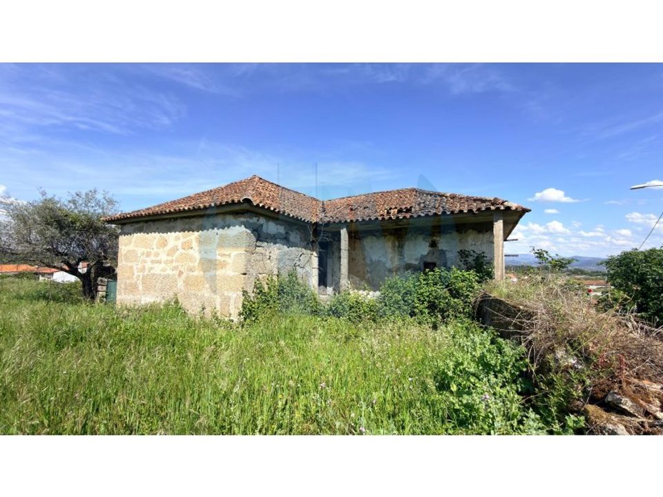 Farm i Mirandela, Braganca - foto 4