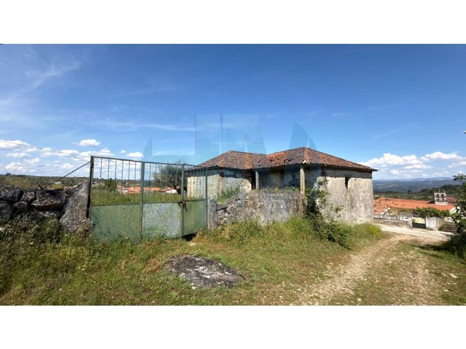 Farm i Mirandela, Braganca - foto 5