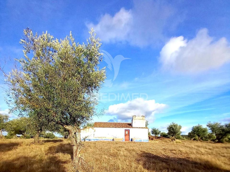 Masia a Redondo, Evora - foto 2