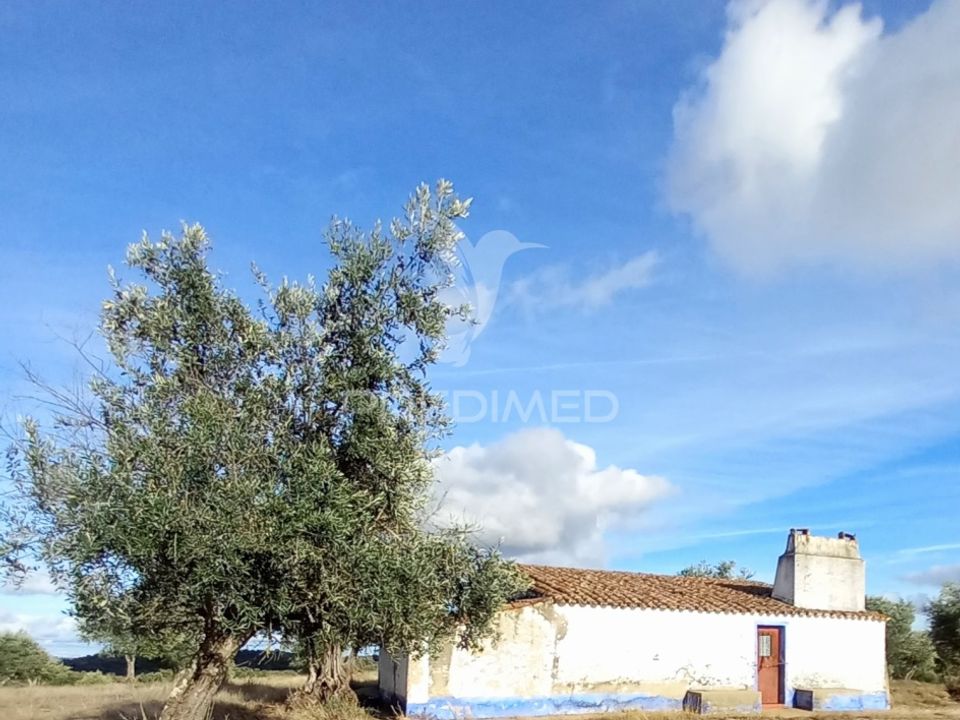 Masia a Redondo, Evora - foto 3