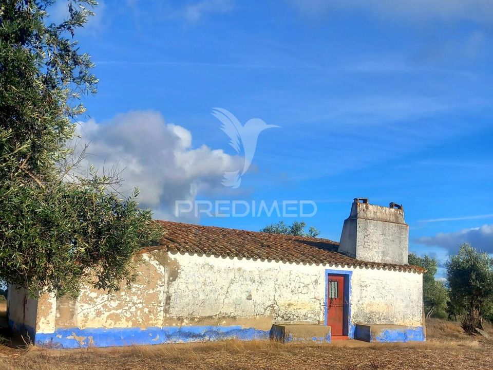 Masia a Redondo, Evora - foto 5