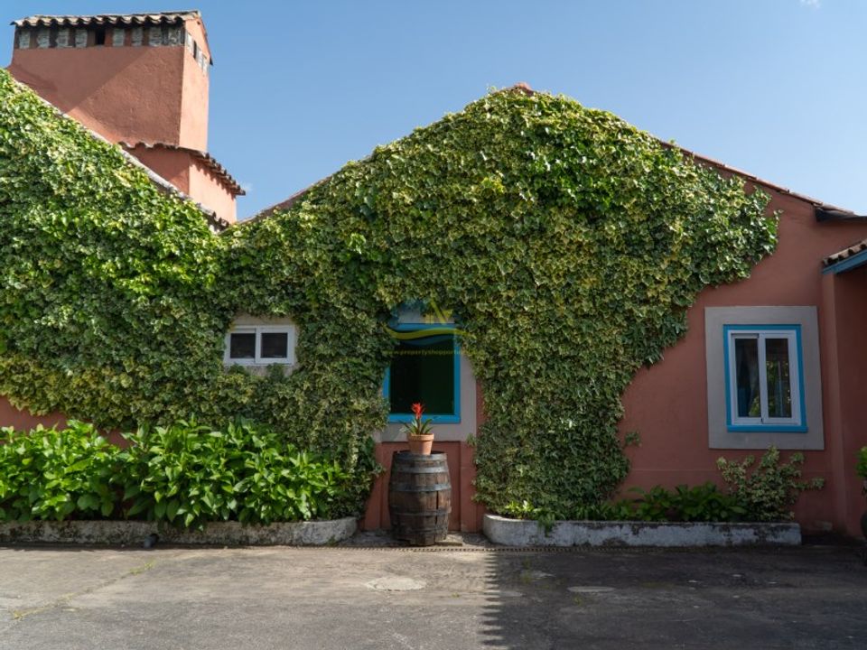 Cortijo i Miranda do Corvo, Coimbra - foto 2