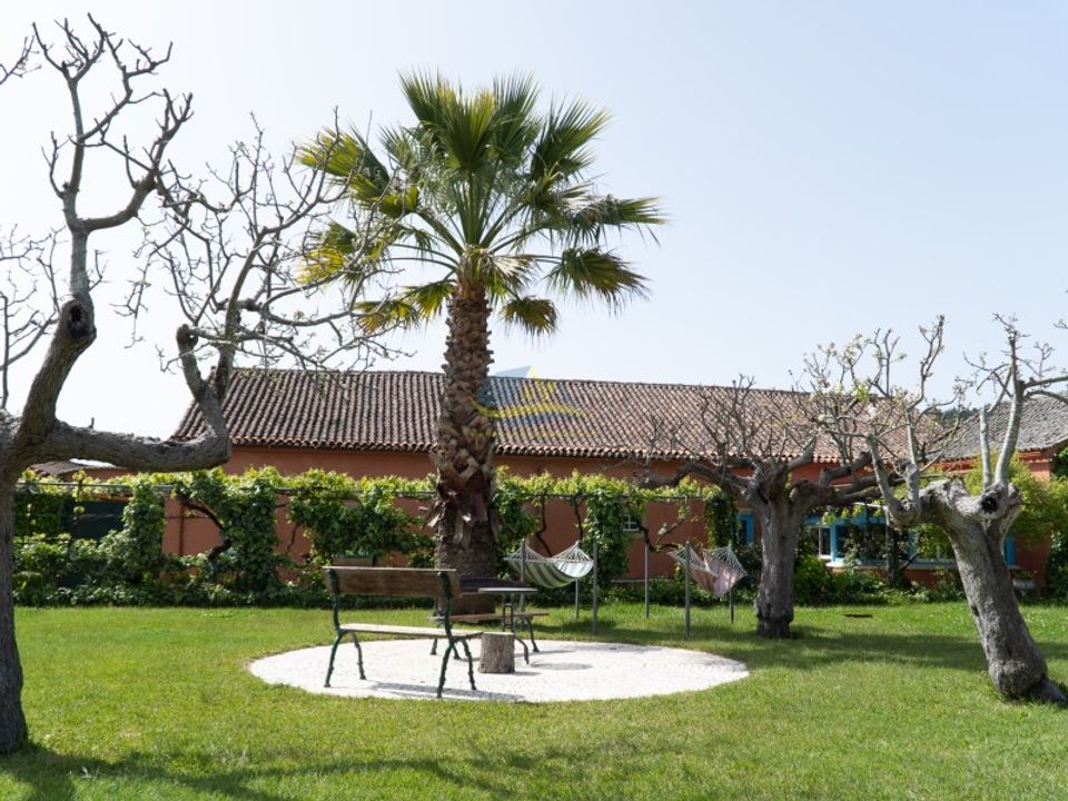 Cortijo i Miranda do Corvo, Coimbra - foto 4