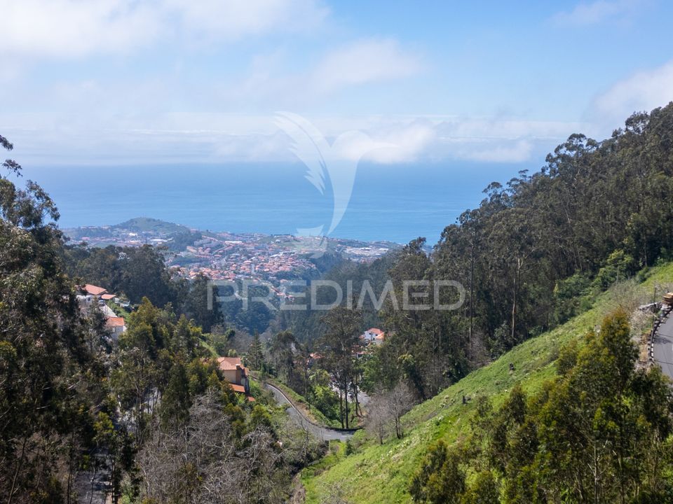Helårsgrund i Funchal, Madeira - foto 4