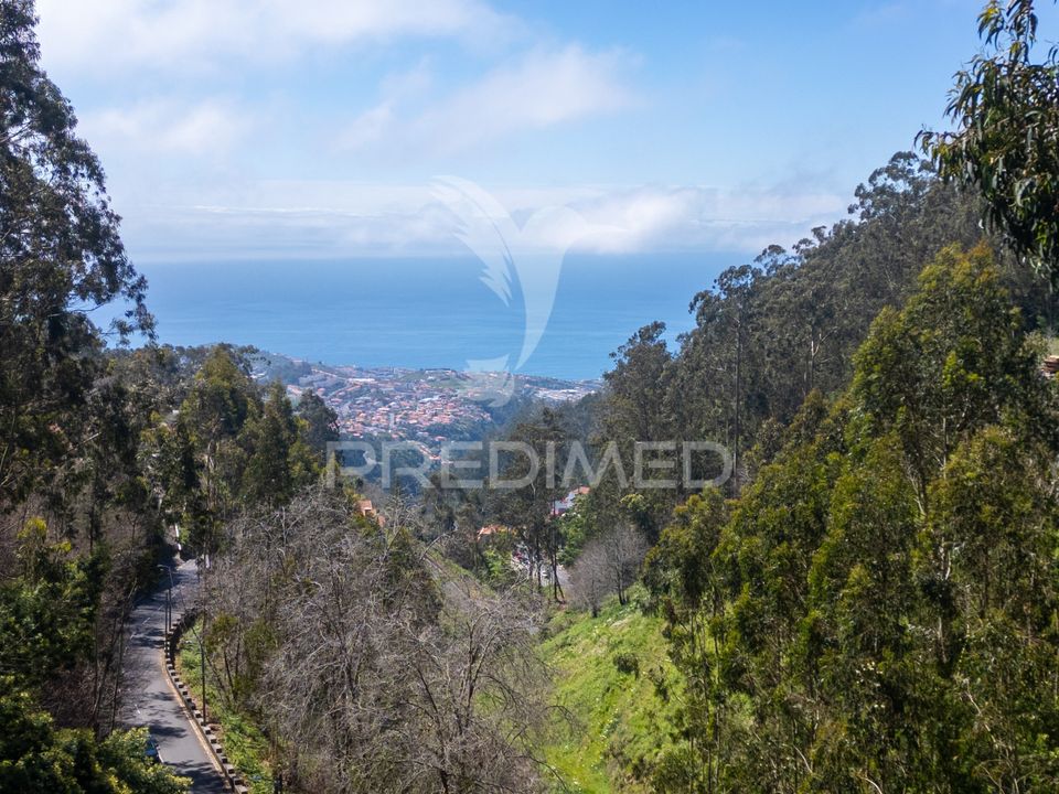 Helårsgrund i Funchal, Madeira - foto 5