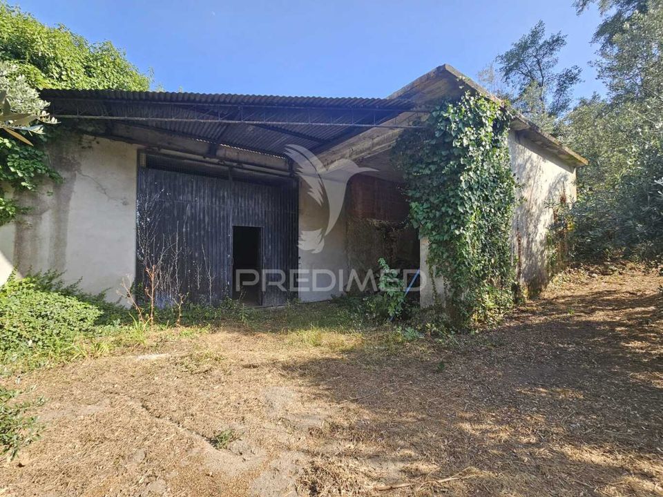 Farm hus i Ferreira do Zezere, Santarem - foto 2