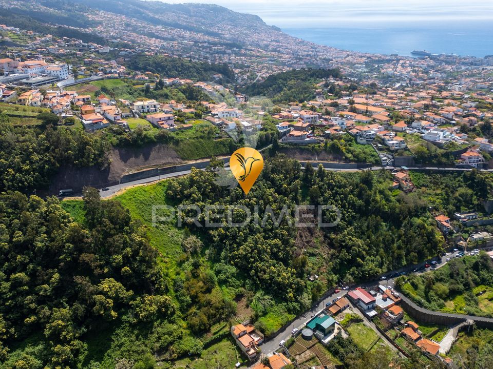 Helårsgrund i Funchal, Madeira - foto 3