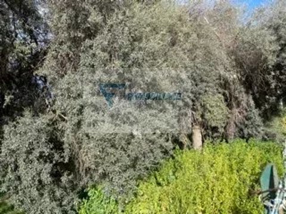 Helårsgrund i Siracusa, Siracusa - foto 3