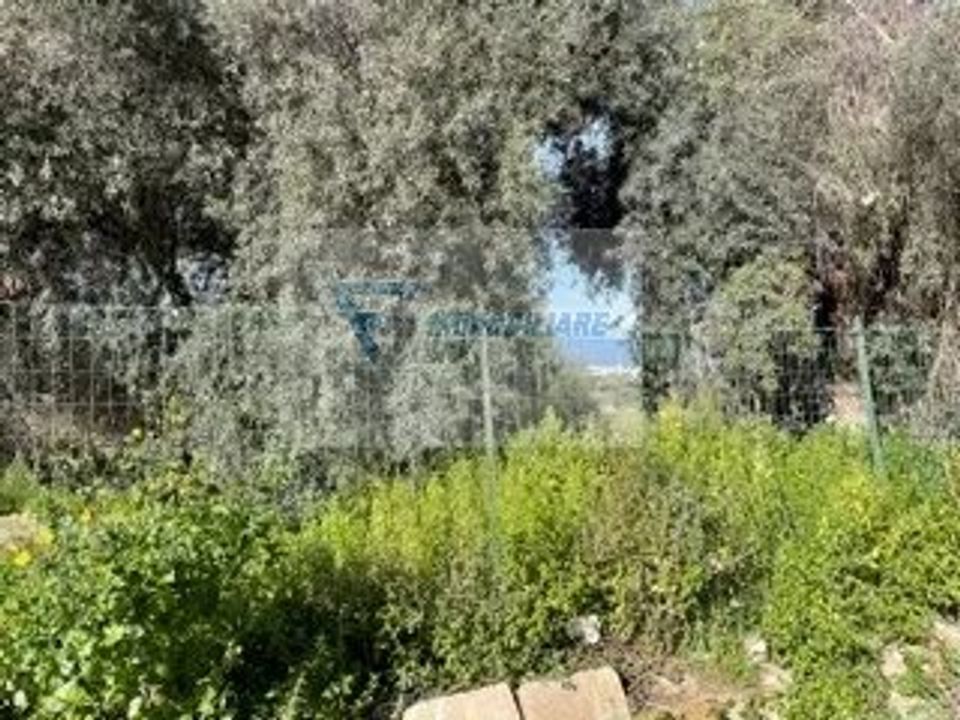 Helårsgrund i Siracusa, Siracusa - foto 5