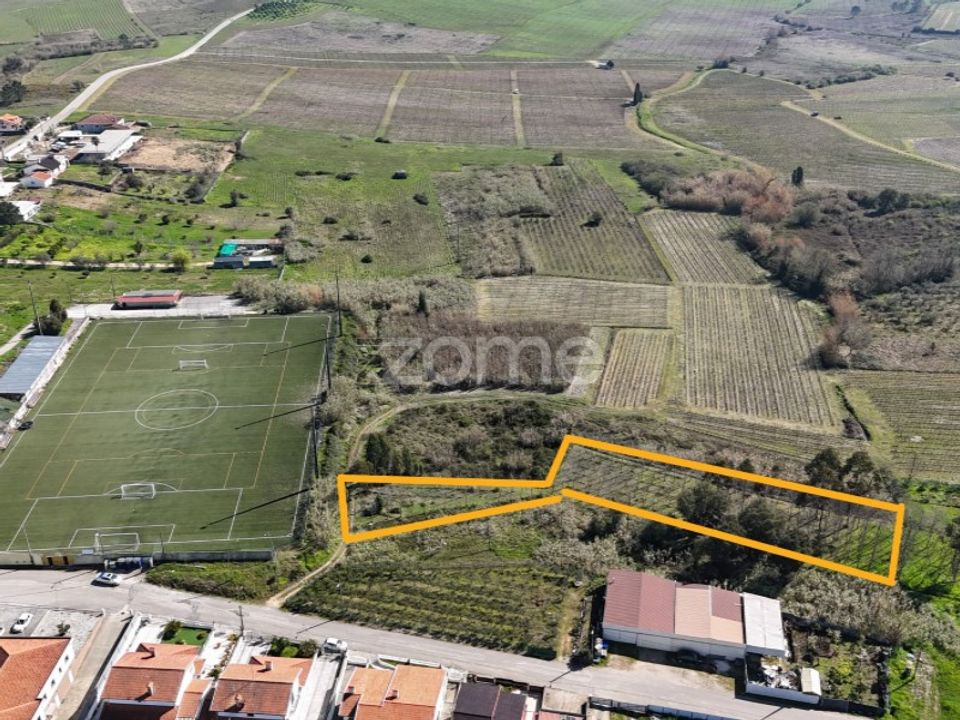 Helårsgrund i Anadia, Aveiro - foto 1