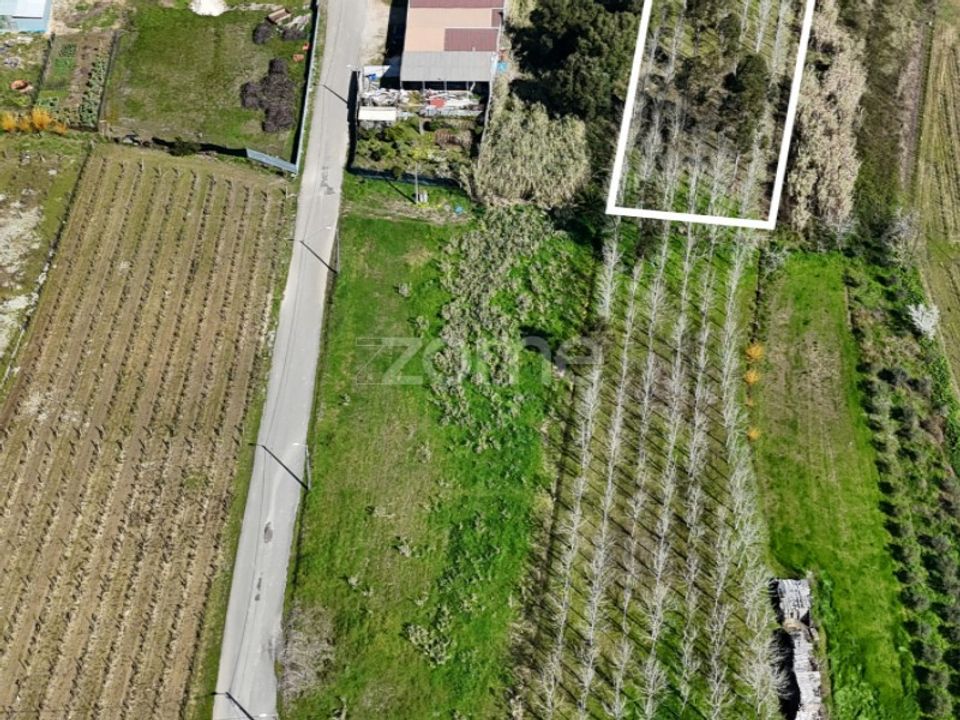 Helårsgrund i Anadia, Aveiro - foto 2