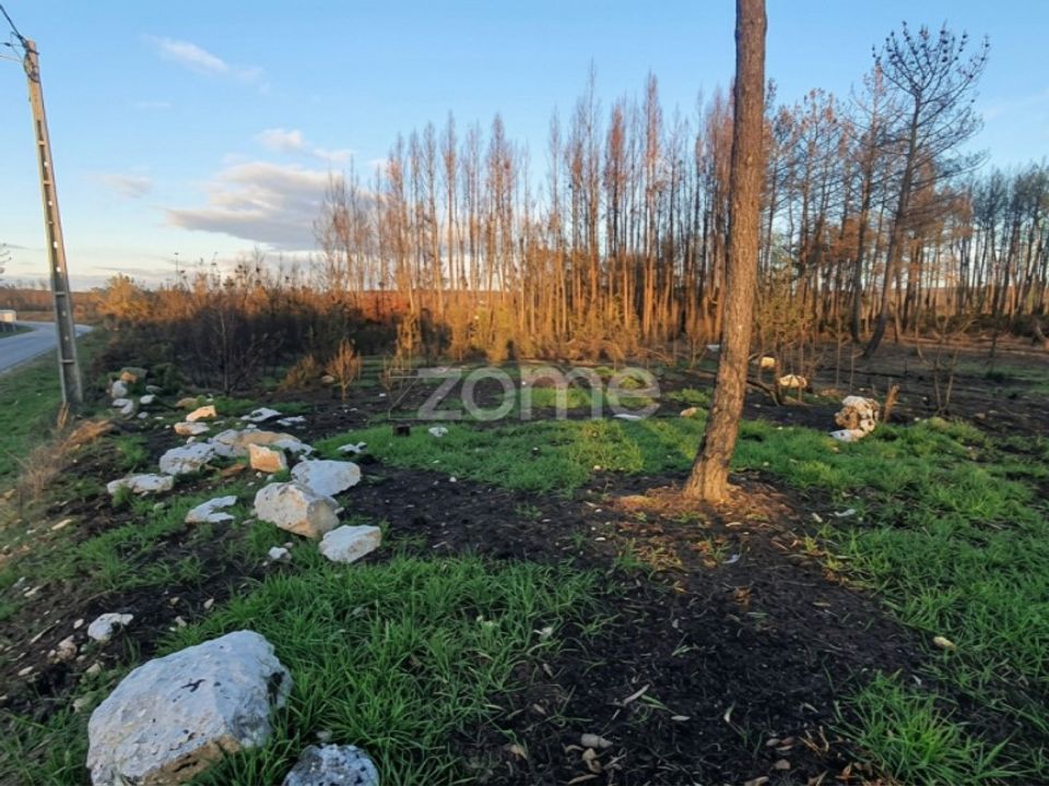 Helårsgrund i Aguas Boas e Forles, Viseu - foto 4