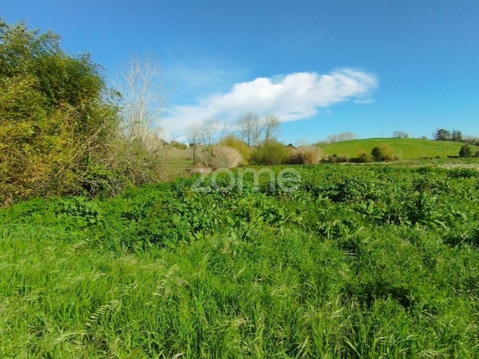 Tomt i Monte Real, Leiria - bilde 3