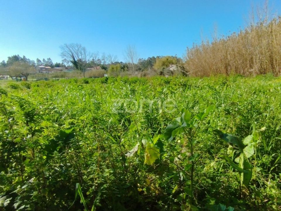 Tomt i Monte Real, Leiria - bilde 5