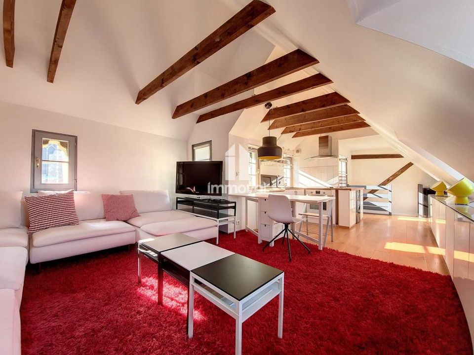 Duplex i Strasbourg, Bas-Rhin - foto 3