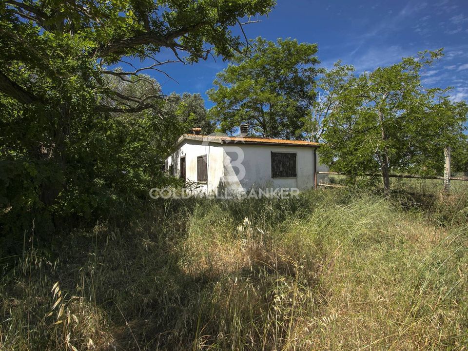 Villa i Montalto di Castro, Viterbo - foto 1