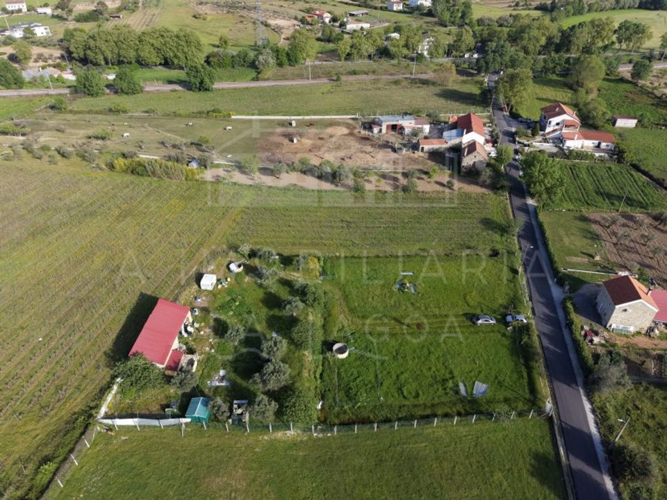 Farm i Caria, Castelo Branco - foto 2