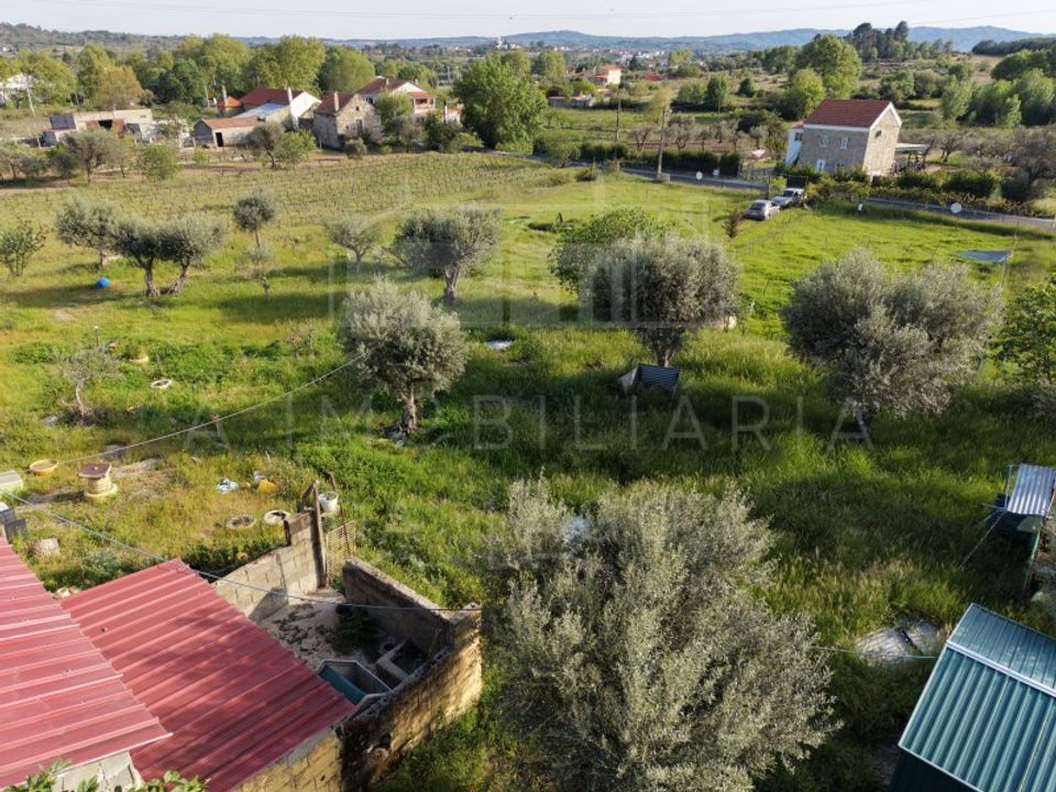 Farm i Caria, Castelo Branco - foto 3