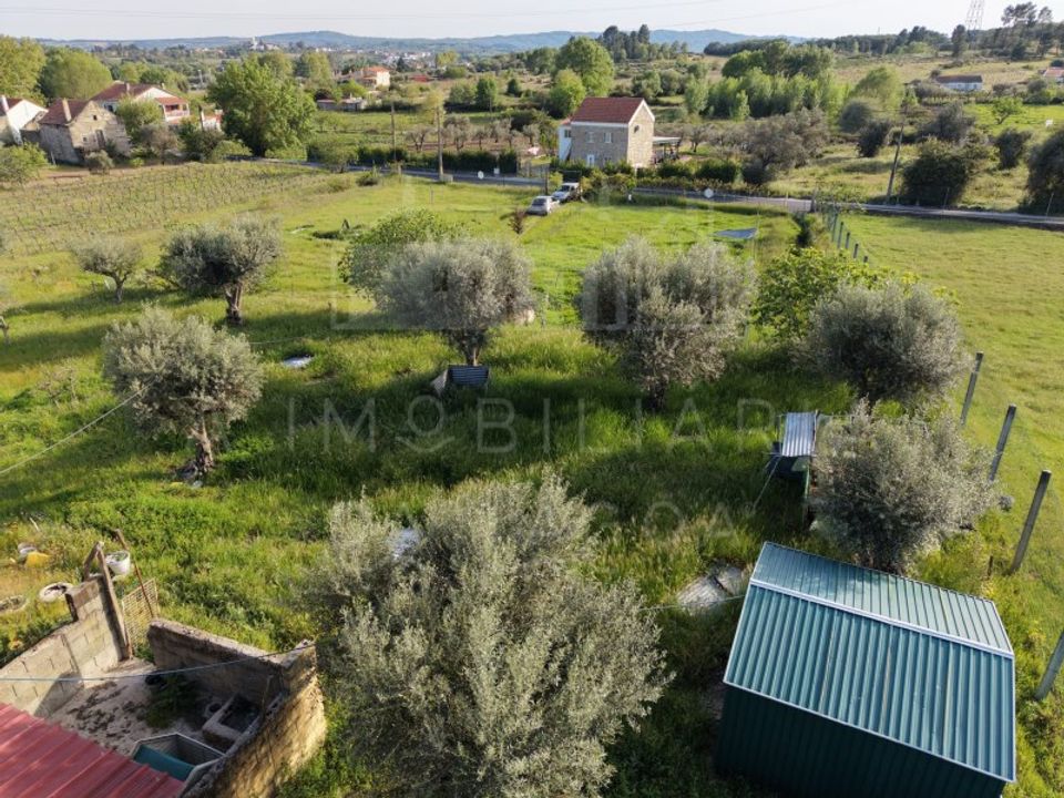 Farm i Caria, Castelo Branco - foto 4