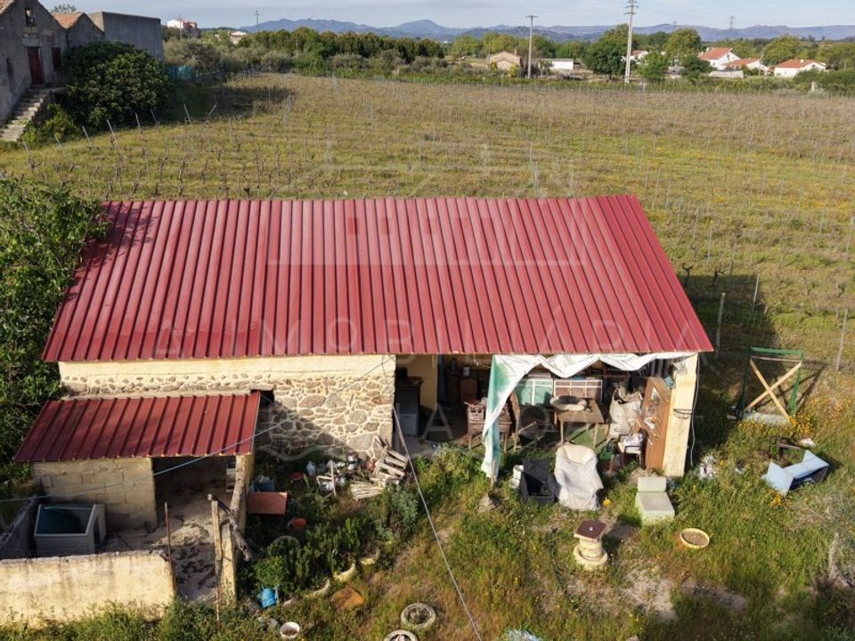 Farm i Caria, Castelo Branco - foto 5
