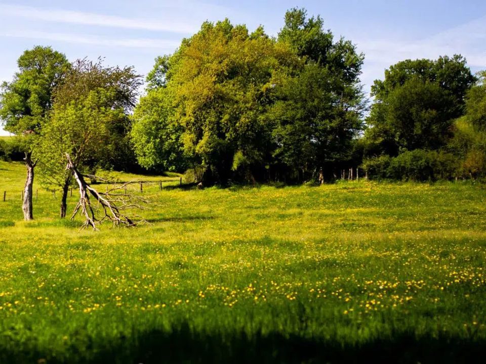 Helårsgrund i Roz-Landrieux, Ille-et-Vilaine - foto 1