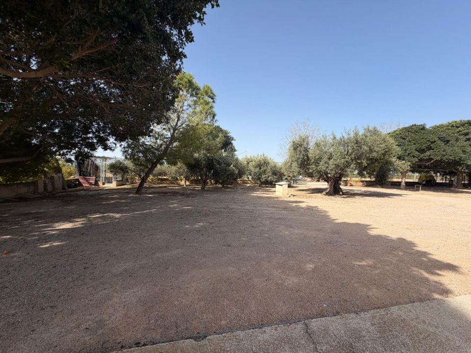 Landsbyhus i Torre Pacheco, Murcia - foto 4