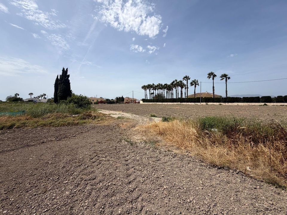 Helårsgrund i Dolores, Alicante - foto 2